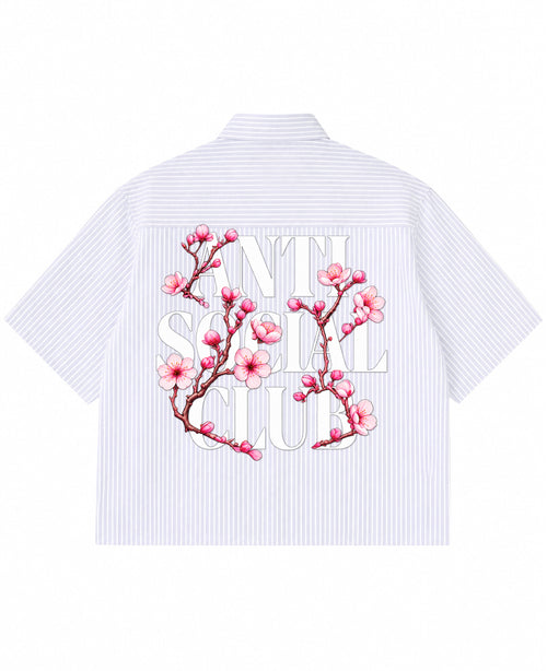 Blue Striped Oxford Boxy Shirt Back Design