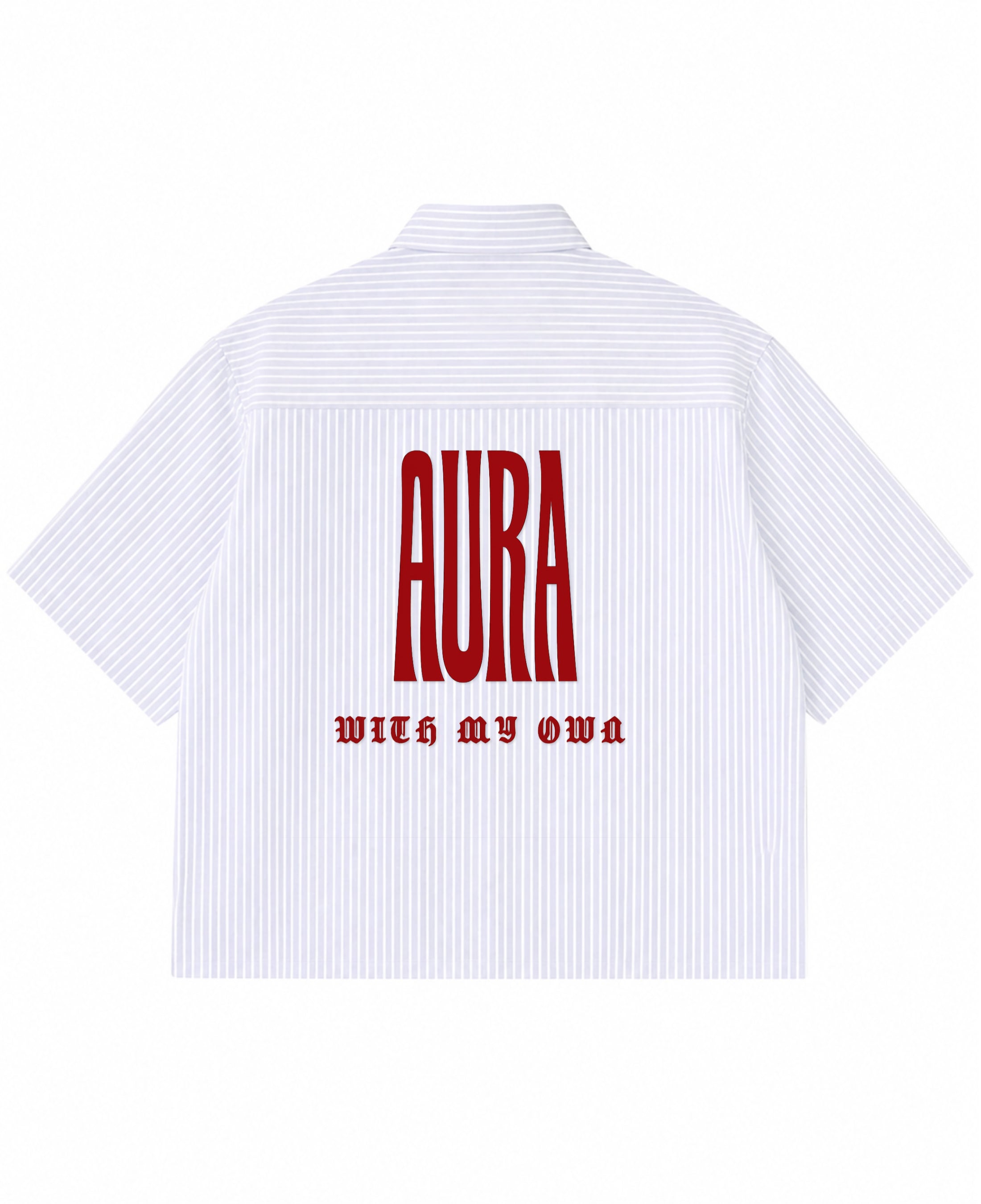 Blue Striped Oxford Boxy Shirt Back Design
