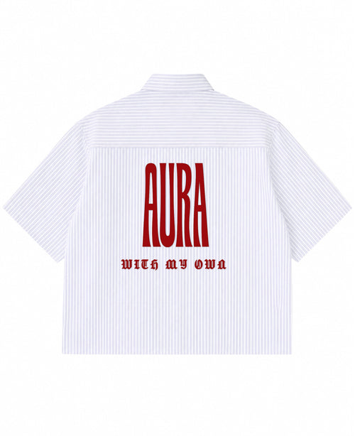 Blue Striped Oxford Boxy Shirt Back Design